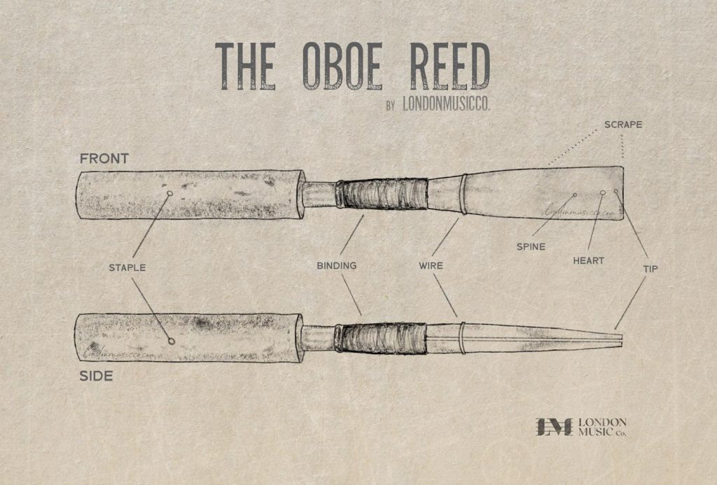Oboe Reed Diagram